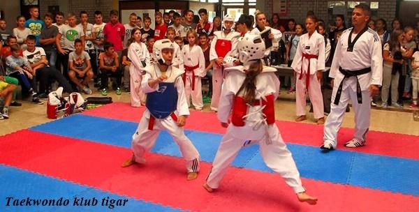 Taekwondo za školarce – mjesečna članarina 5 x tjedno za 125kn!