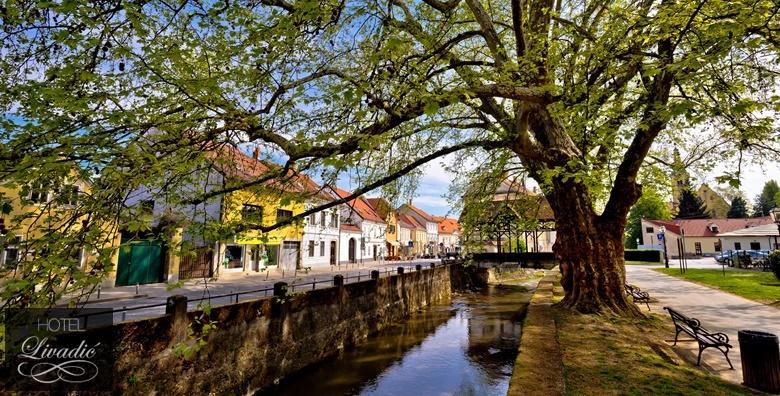 [SAMOBOR] 2 dana s doručkom za 2 ili 3 osobe u hotelu Livadić***  uz GRATIS poznate samoborske kremšnite u hotelskoj kavani od 408 kn!