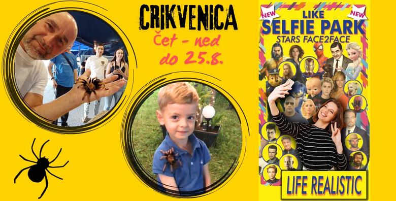 The Tarantula Expo & Selfie Park – SAMO ZA HRABRE! Posjetite izložbu sa tarantulama i insektima iz cijelog svijeta, primite ih u ruku i snimite fora selfije sa omiljenim glumcima